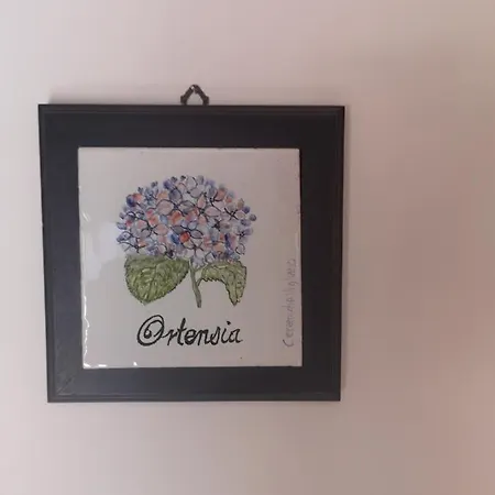 Il Giardino Di Vigliano * Massa Lubrense