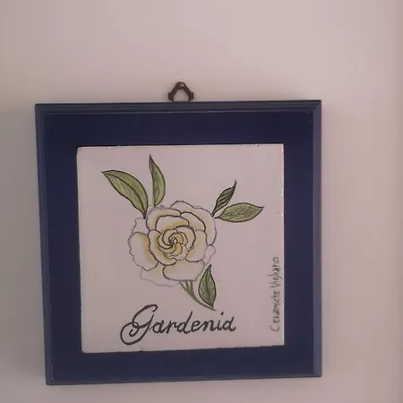 Il Giardino Di Vigliano *