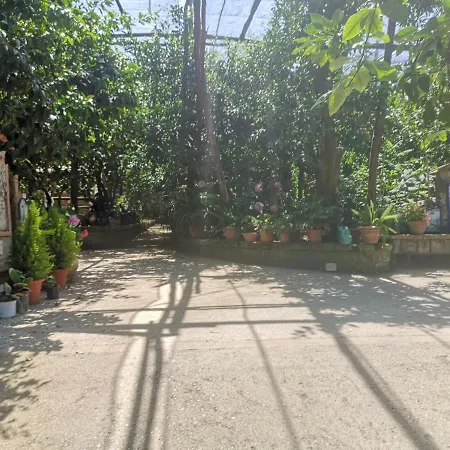 Alloggio per agriturismo Il Giardino Di Vigliano Massa Lubrense