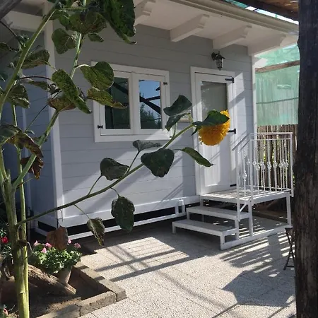 Il Giardino Di Vigliano Farm stay
