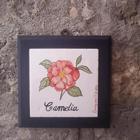 Farm stay Il Giardino Di Vigliano Massa Lubrense