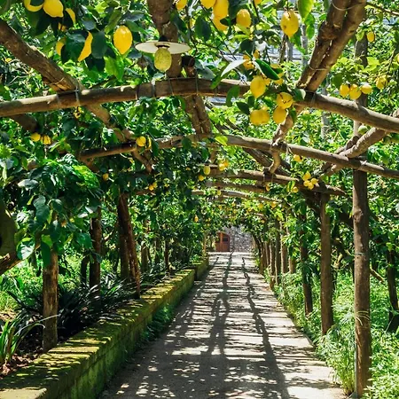 Farm stay Il Giardino Di Vigliano Massa Lubrense