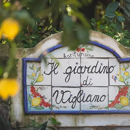 Farm stay Il Giardino Di Vigliano Massa Lubrense
