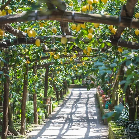 مزرعة للإقامة Il Giardino Di Vigliano *
